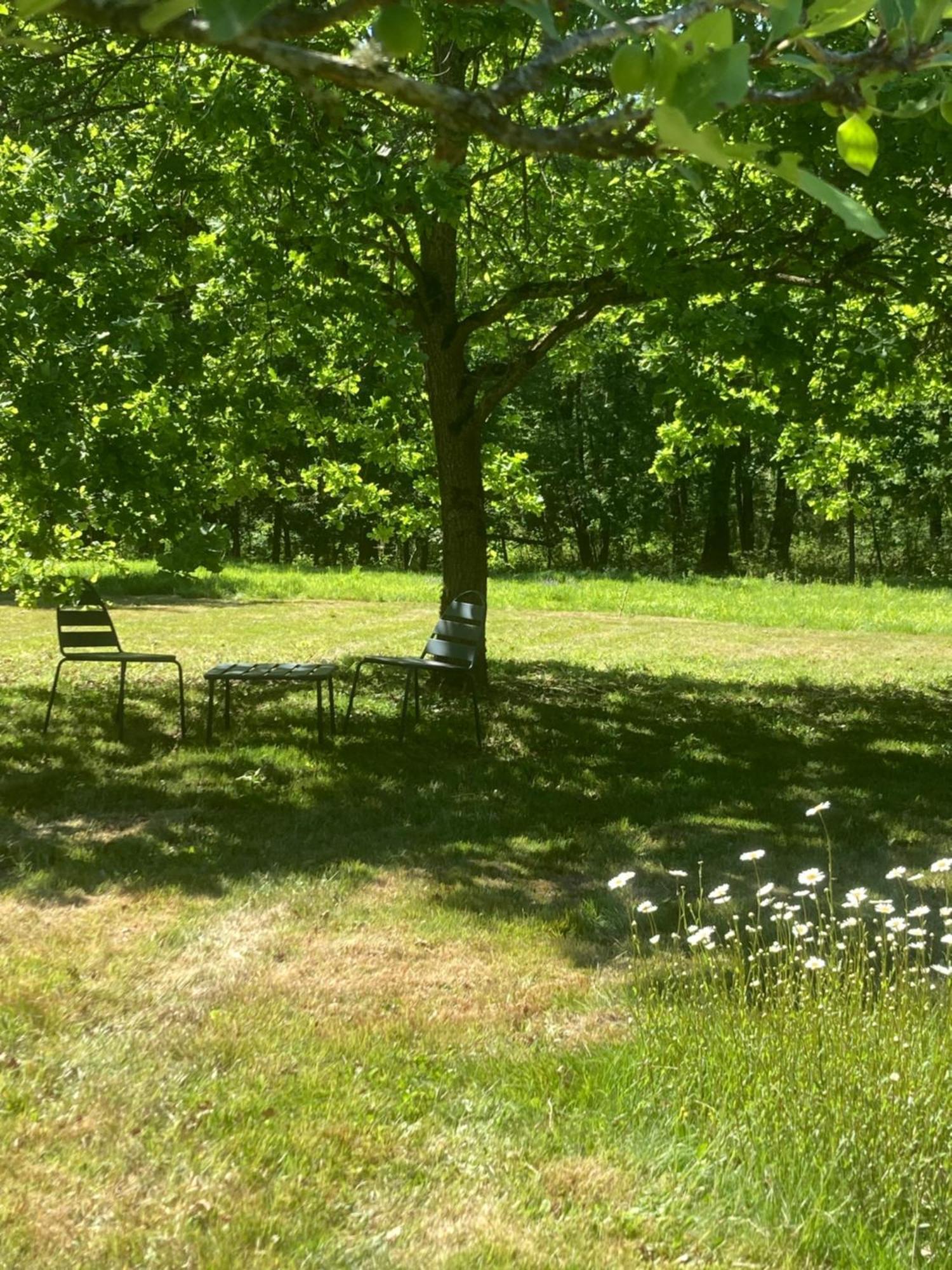 Les Bois De Ravel Chambres D'Hotes Екстериор снимка