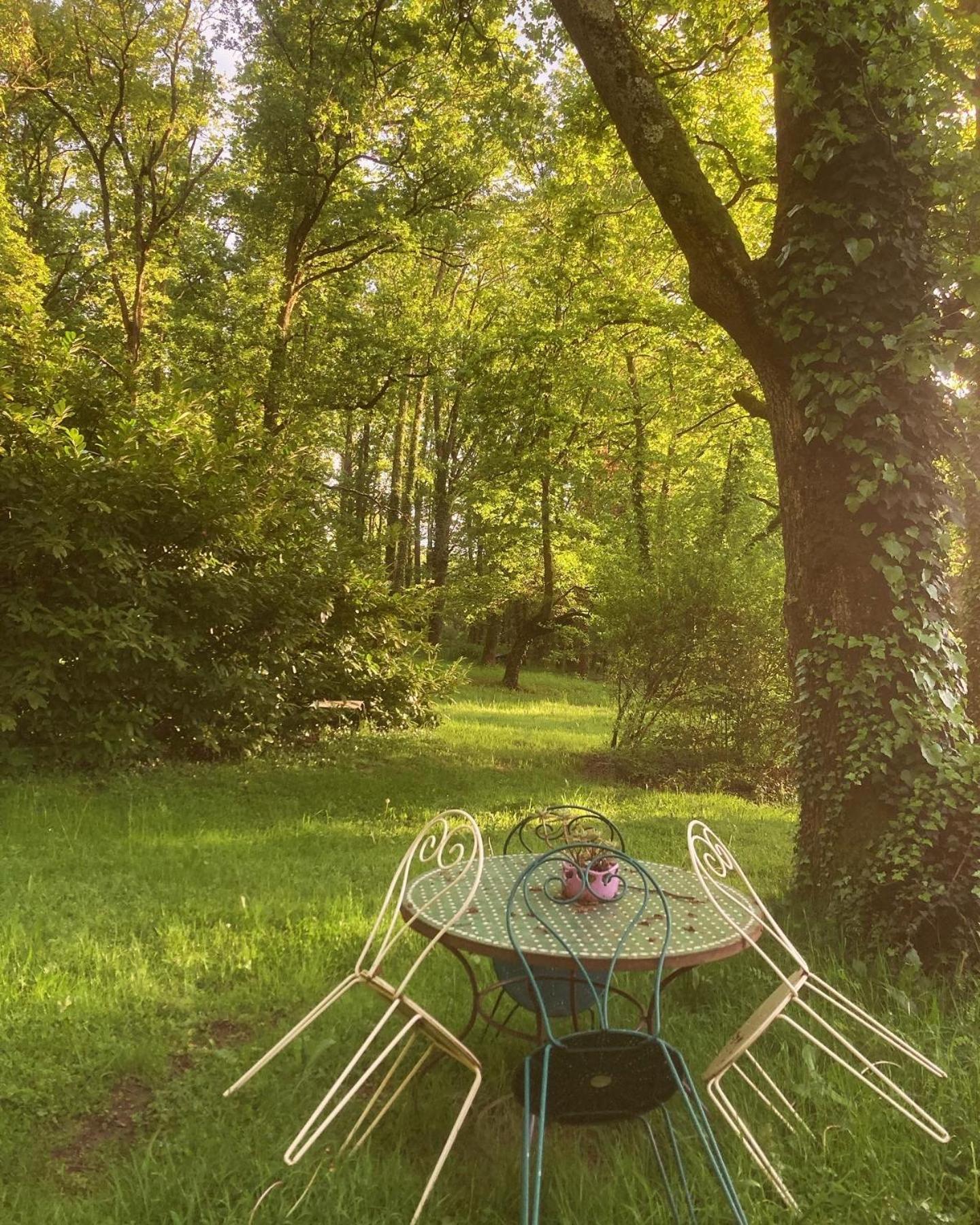 Les Bois De Ravel Chambres D'Hotes Екстериор снимка